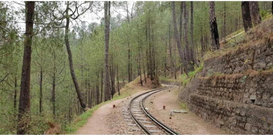 Mountain Mist Inn I Serviced Apt I Open Air Lawn & Rooftop I Bonfire I By Exotic Stays Kasauli Exterior foto
